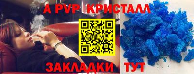 стафф Новозыбков