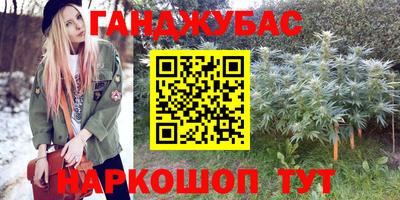 гашик Новокубанск